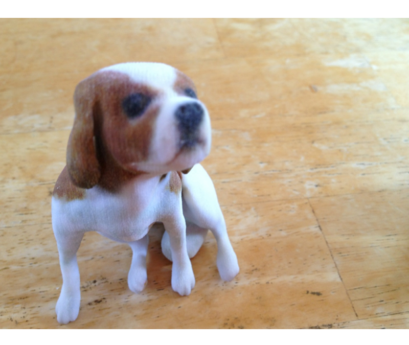 3D animal printing – get a perfect model of your pet